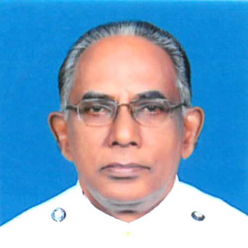 GEORGE VARGHESE KALLELI