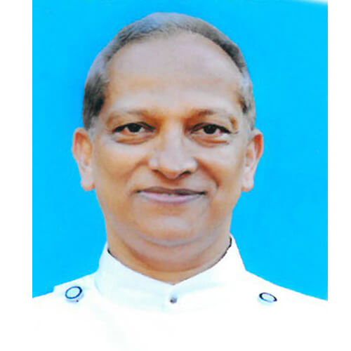 P MATHEW BHARANIKAVU